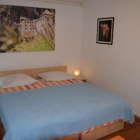 Rooms Ribnikar โพสโตยนา ภายนอก รูปภาพ