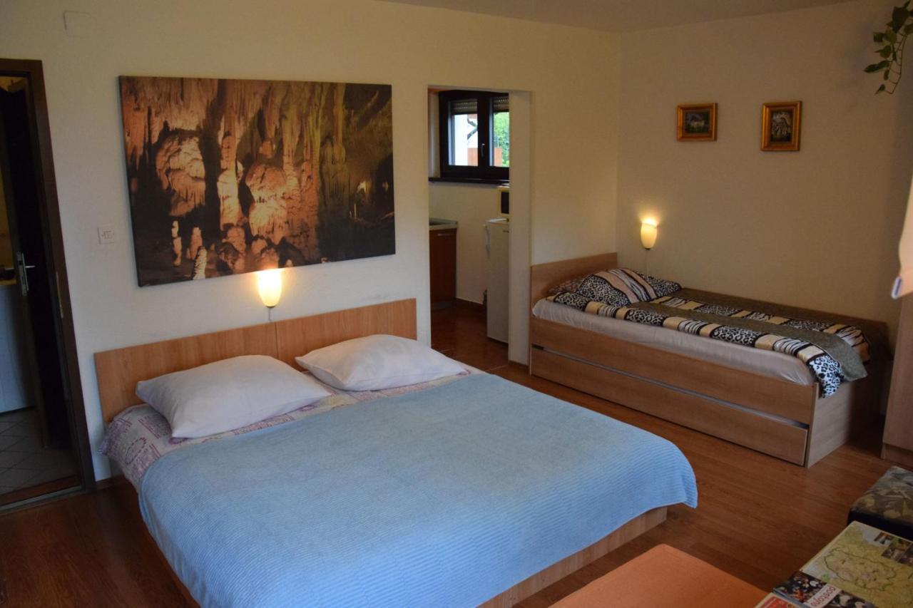 Rooms Ribnikar โพสโตยนา ภายนอก รูปภาพ