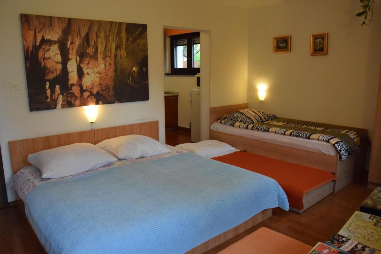Rooms Ribnikar โพสโตยนา ภายนอก รูปภาพ